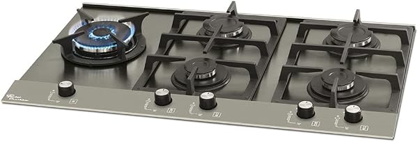 Cooktop Fischer Platinium